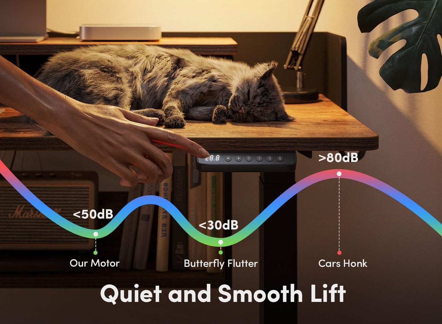 55" Electric Standing Desk with Shelves, 55 x 24 Inch with Monitor Stand and Storage
