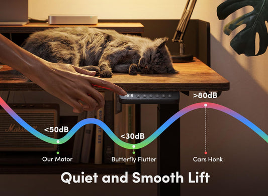55" Electric Standing Desk with Shelves, 55 x 24 Inch with Monitor Stand and Storage